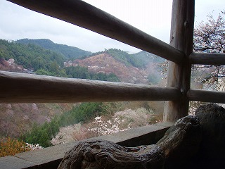 吉野山温泉 湯元宝の家(ほうのや)の絶景露天風呂と桜