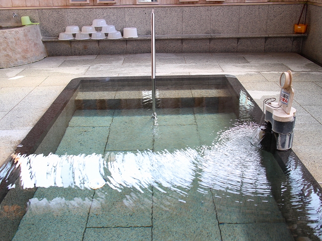 飯坂温泉 鯖湖湯の浴槽